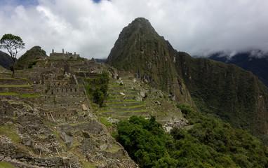 Machu Picchu 