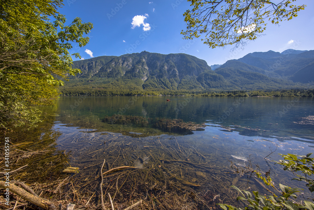 Poster Emerald water of lake Bohinj