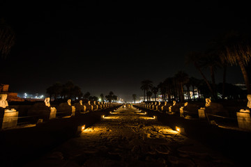 Egypt memoirs
