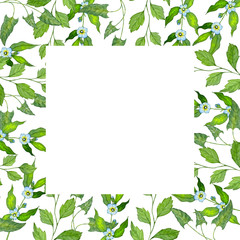 background with green leaves and branches with space for text. painted leaves on a white background isolated watercolors
