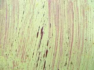 
The surface of the wall of the building. Blurred defocused background for web design.