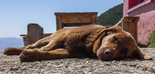 Siesta en la monta&ntilde;a