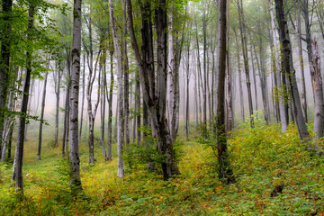 Various tourist attractions of Veliko Tarnovo, Bulgaria