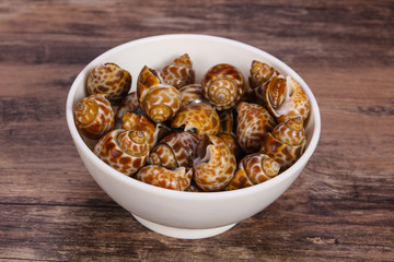 Tasty mollusk - spotted Babylon in the bowl