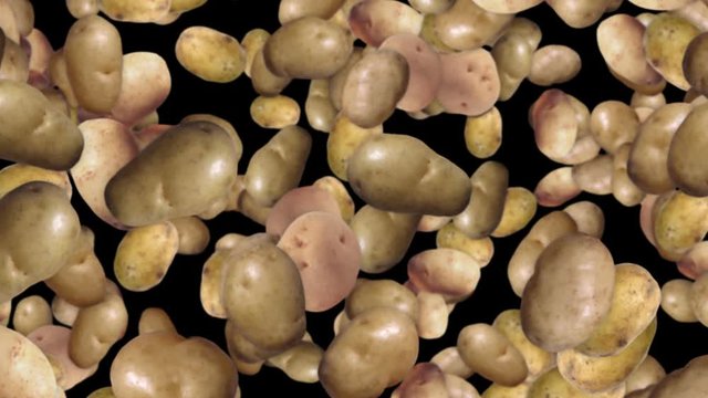 Falling Potatoes Vegetables Background, with Alpha Channel, Loop, 4k
