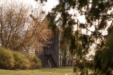 old house in the woods