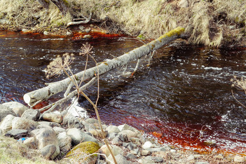
fast river in a forest with a fallen tree across