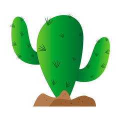 Isolated cactus icon