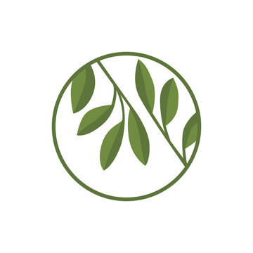 Vector willow green leaf icon. Badge, icon and logo with leaves in a circle for your business.