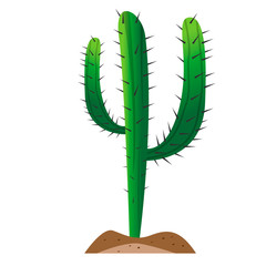 Isolated cactus icon