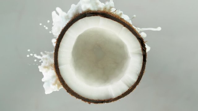 Super Slow Motion Shot of Milk Splashing on Coconut at 4K isolated on grey.