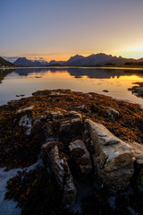rocky seashore lofoten islands in the north of norway at sunset