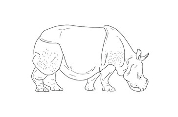 rhino art line