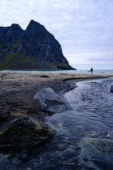 Fototapeta na wymiar people on a wild beach on the Lofoten islands, norway in autumn