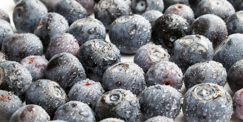 Blueberries close-up on white isolate. Blueberries with water spray.