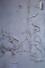 Old wall with peeling grey and white paint in an abandoned building. Vintage background. Flakes of paint. Texture, pattern