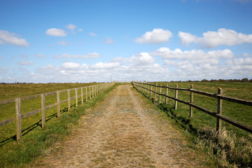 Dirt road through moor land with wooden fence either side. Leading line into distance with blue sky and space for copy text. Landscape image