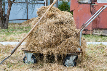 Last year’s grass in old wagon. Country life concept. Fork. Dry straw piled in card after mowing. Farming concept 