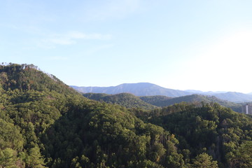 Fototapeta premium Smokies