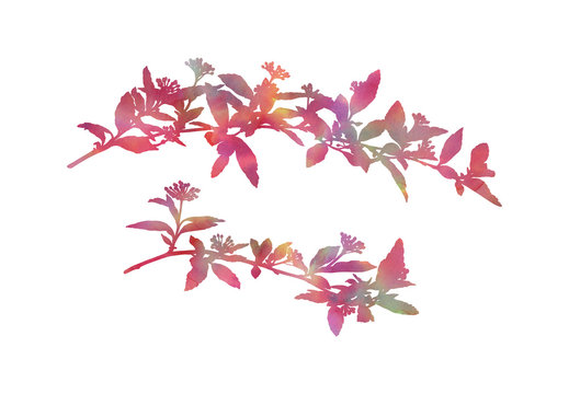Beautiful branches. Hand painted decorative image isolated on a white background. Bright watercolour set for creative design of posters, cards, invitations, banners, websites, etc.