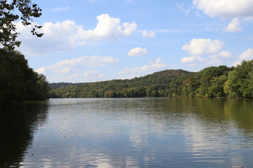 Radnor Lake 3