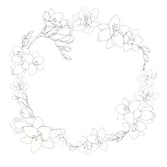 Freesia flowers circle frame, wreath hand drawn in pen ink. Spring, summer monochrome floral design element for birthday, wedding, greeting cards, banners design. 