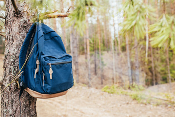 Tourist backpack on a pine branch in the forest - walk and hike in the forest
