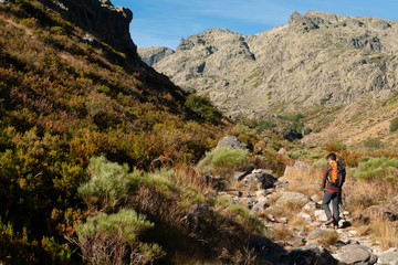 Naklejka na ściany i meble Montañero en la ruta hacia Cinco Lagunas desde Navalperal de Tormes, en el Parque Regional de la Sierra de Gredos.