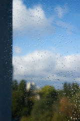 Water drops on a window in front of the blue sky with green trees. Vertical photo.