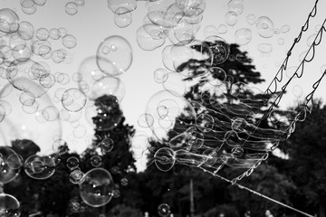 Obraz premium Bubble
