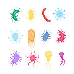 Fototapeta premium Bacterium, bacteria, microbes
