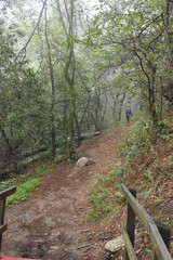 El camino