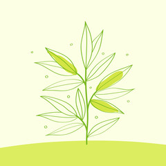 Branch with leaves background. Vector hand drawn illustration