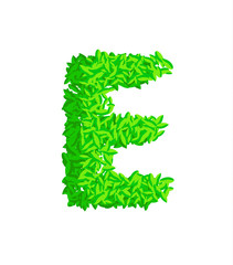 ABC design. Type with decorate elements on white background. Vector illustration.