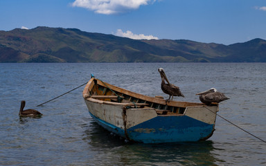 Pelicans on a fishing boat in the sea with mountains in the back
