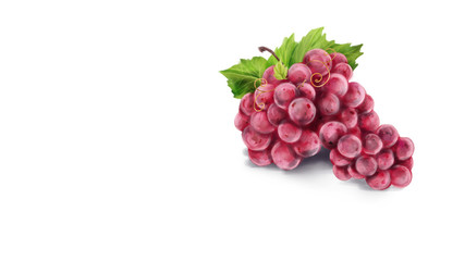 Hand drawn watercolor painting on white background.  illustration of fruit grapes
