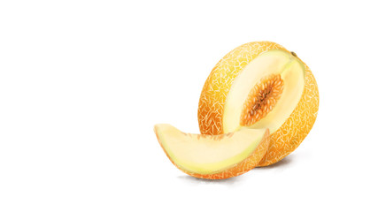 cantaloupe melon hand draw. illustration