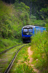 Fototapeta premium Aileen Hartwig