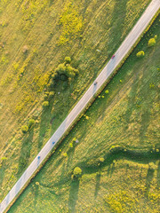 Road in a green field