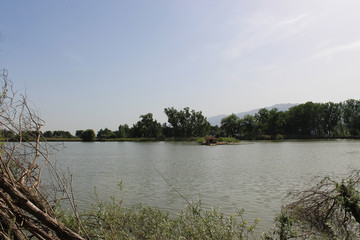 lake in summer
