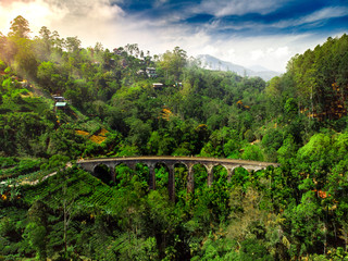 Nine arch bridge in a jungle