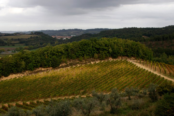 Fototapeta na wymiar Mediterranean landscape in the Toscana, Italy