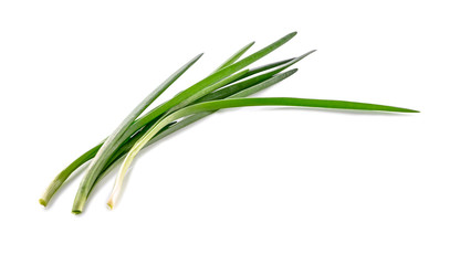 fresh green onion feathers close-up isolated on  white background 
