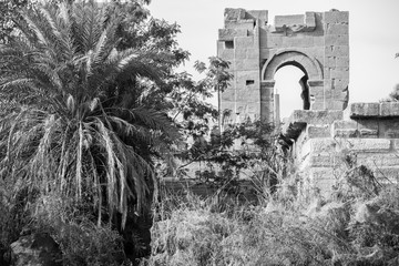 Egypt memoirs