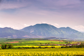 Slovakia rural scene. Blooming spring landscape.