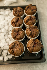homemade chocolate muffins from an oven with ice on a baking sheet