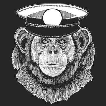 Chimpanzee, portrait. Sailor capitan hat. Monkey face. Ape head.
