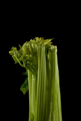 Celery is fragrant, petiole, sliced into slices. Collage Isolated on Black Background
