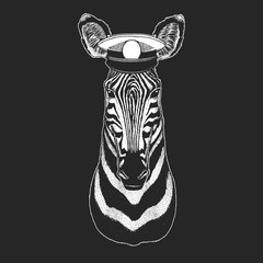 Zebra portrait. Sailor capitan hat. Head of wild animal.