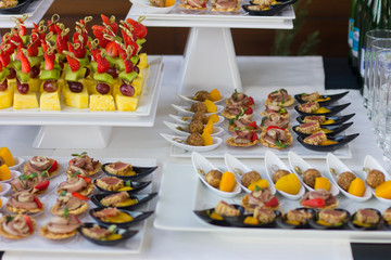 Reception on the veranda. Banquet. Tartlets, mussels, chopped cheese.